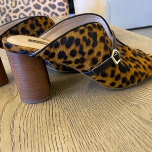 Leopard skin heels with black belt accent with gold trim.Authentic cow hair.
